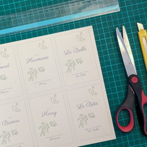 Jeu des binomes animation de mariage, cartes à imprimer